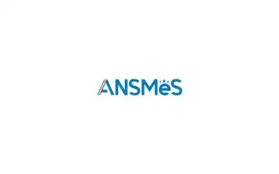 ANSMES